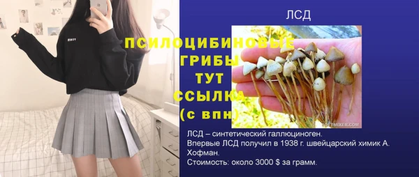гидра Лихославль