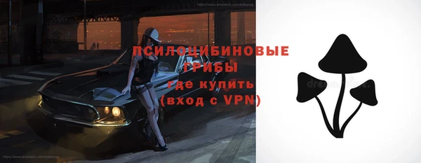 а пвп мука Медвежьегорск