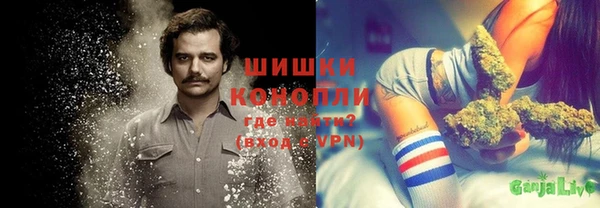 соль ск Мегион