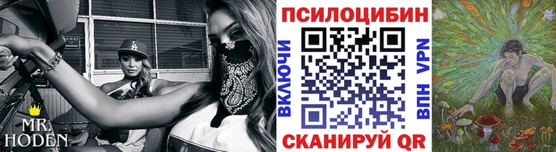 hydra как войти  Льгов  Галлюциногенные грибы мицелий 